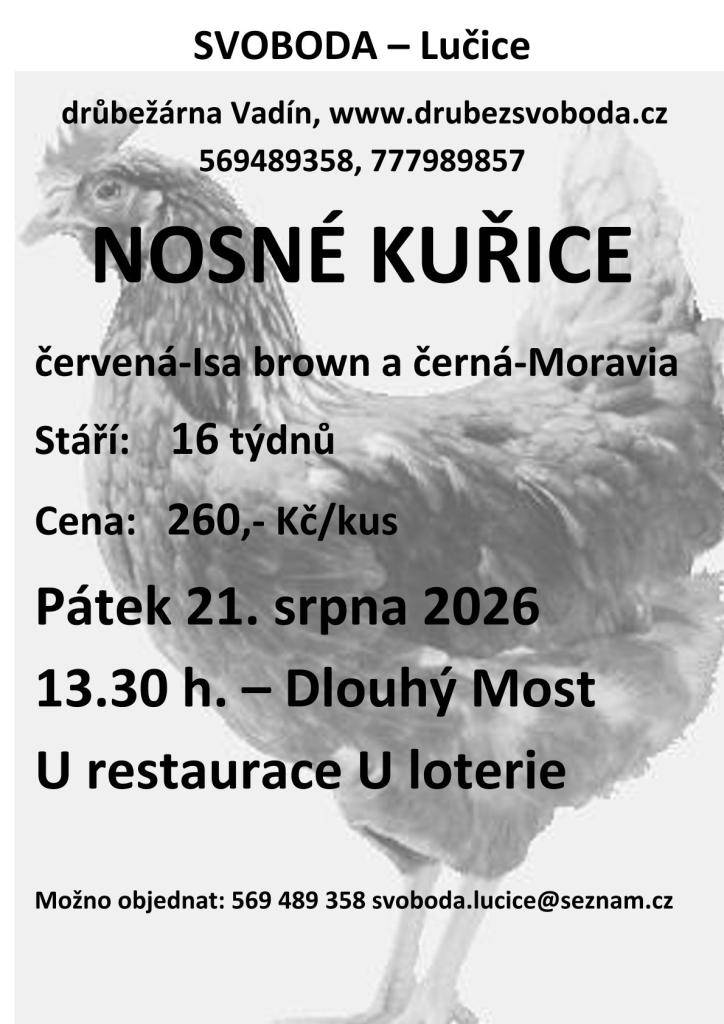 Prodej nosných kuřic ve středu 21.8.2026 v 13:30 u restaurace U Loterie