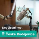 Podmínky na chráněném trhu práce se zlepšují, k ideálu ale máme daleko, hodnotí ředitelka Nazaretu