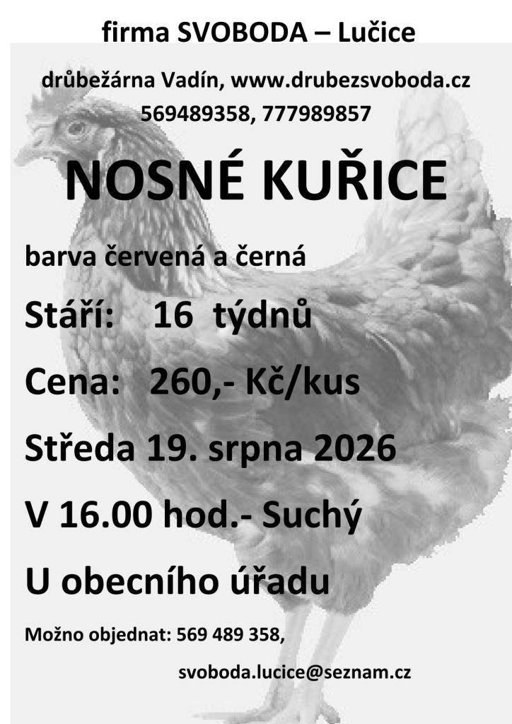 Nosné kuřice