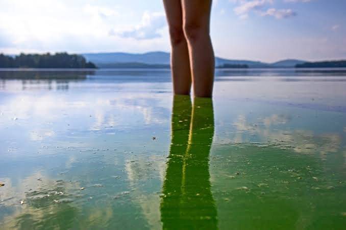 Regionálny úrad verejného zdravotníctva vykonal dňa 4. 8. 2026 rozbor vody na štrkovom jazere Rudava v Malých Levároch.   V dôsledku vyšších teplôt sa vo vode rozmnožili cyanobaktérie (sinice). Z tohto dôvodu Regionálny úrad verejného zdravotníctva neodporúča kúpanie v Rudave. Voda môže predstavovať zdravotné riziko, najmä pre citlivé osoby, deti a alergikov.   O výsledkoch ďalších kontrolných odberov vás budeme priebežne informovať.