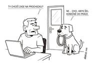 Homeoffice odhalil krutou pravdu. Ani domácí mazlíčci nás nepotřebují osm hodin denně