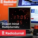 Rusnok: Vyprazdňují se limity zadlužování. Lití poptávky z veřejných peněz vyvolá inflační tlaky