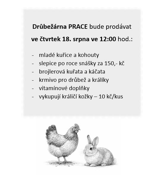 18.8.2026, ve 12:00