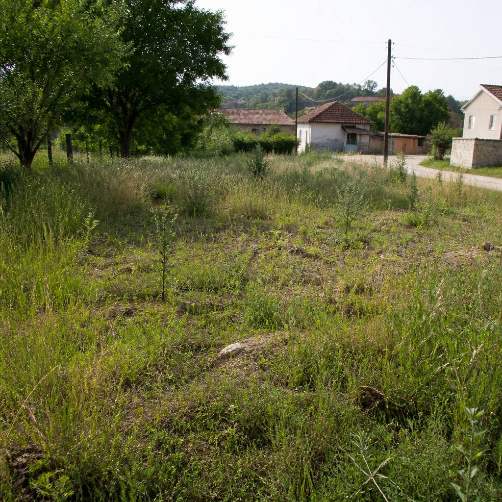 Obec Čataj vyzýva vlastníkov, užívateľov a správcov pozemkov na starostlivosť o svoje nehnuteľnosti a skosenie buriny.