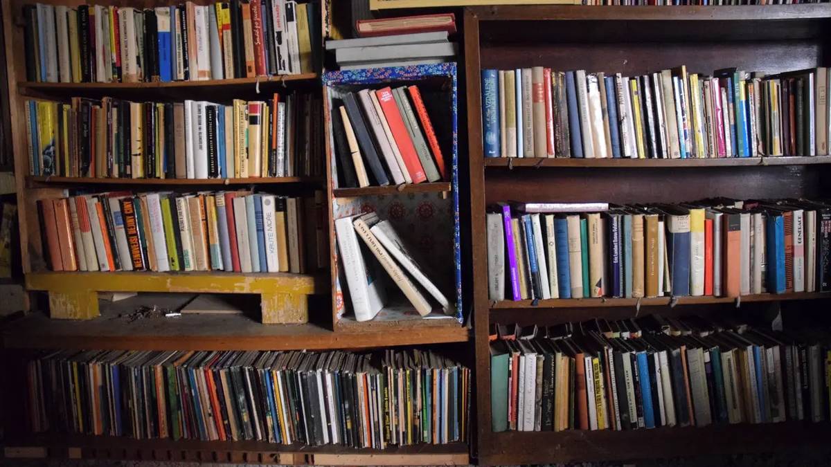 Knihovna ve Velké Bystřici bude dočasně uzavřena z důvodu rozsáhlé revize knihovního fondu. Posledním otevíracím dnem je čtvrtek 13. srpna.
