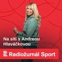 Jícha: Českým házenkářům radím, ať se snaží vybočit z řady. Potřebujeme lídry týmu i v zahraničí