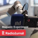 Jak žili pravěcí lidé na území Česka? V dlouhém domě s mnoha lidmi, ukazuje průzkum z Těšetic
