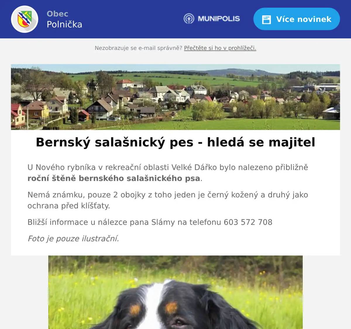 U Nového rybníka v rekreační oblasti Velké Dářko bylo nalezeno přibližně roční štěně bernského salašnického psa. Nemá známku, pouze 2 obojky z toho jeden je černý kožený a druhý jako ochrana před klíšťaty. Bližší informace u nálezce pana Slámy na telefonu 603 572 708 Foto je pouze ilustrační.