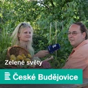 Hortenzie stromečkovitá, skleník v Holandsku a tipy, jak zakrýt nevzhledná místa na zahradě
