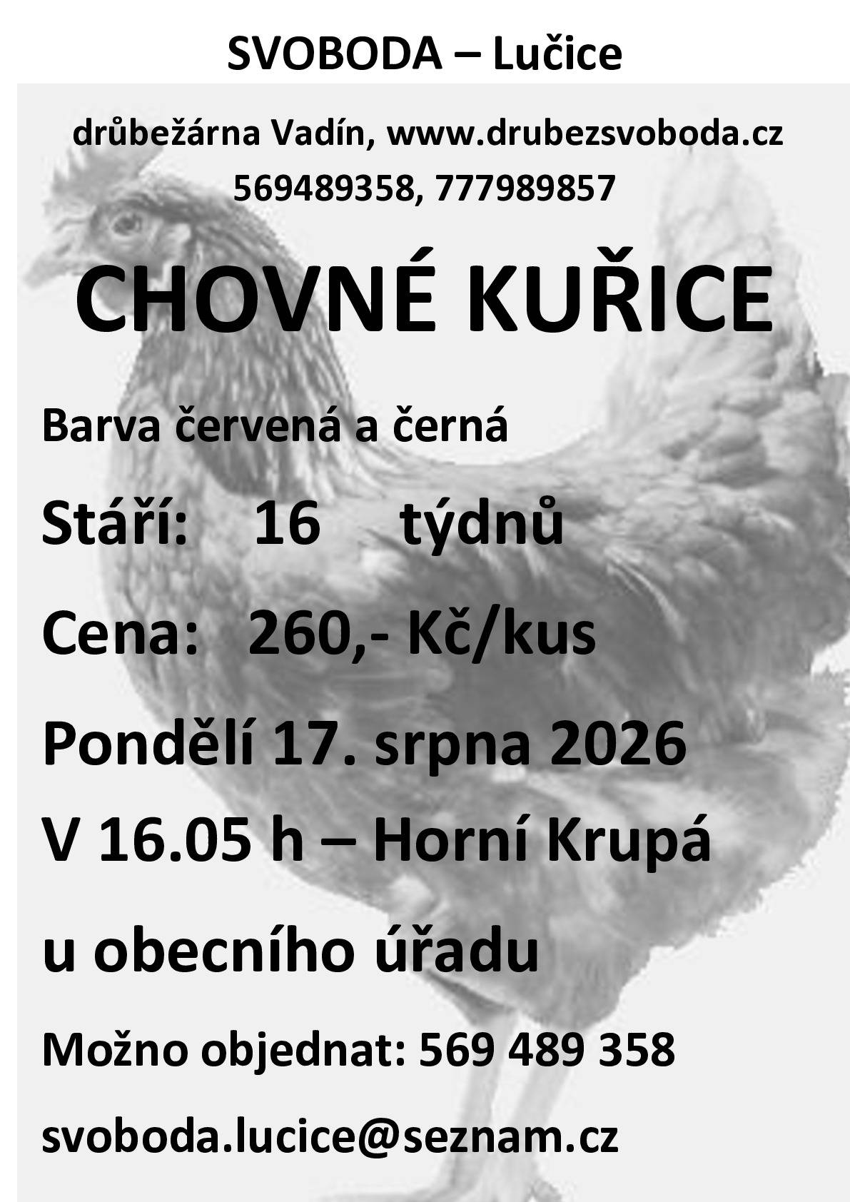 Firma Svoboda Lučice bude prodávat v pondělí 17. srpna 2026 v 16.05 hodin u OÚ  nosné kuřice, stáří 16 týdnů, cena 260,- Kč/kus, barva červená a černá   Objednání je možné na  tel. 569 489 358 nebo emailem svoboda.lucice@seznam.cz