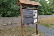 Jan Böhm svou první růži vyšlechtil v roce 1925 a pojmenoval ji po své dceři. Foto: Irena Buřívalová, Ekonews