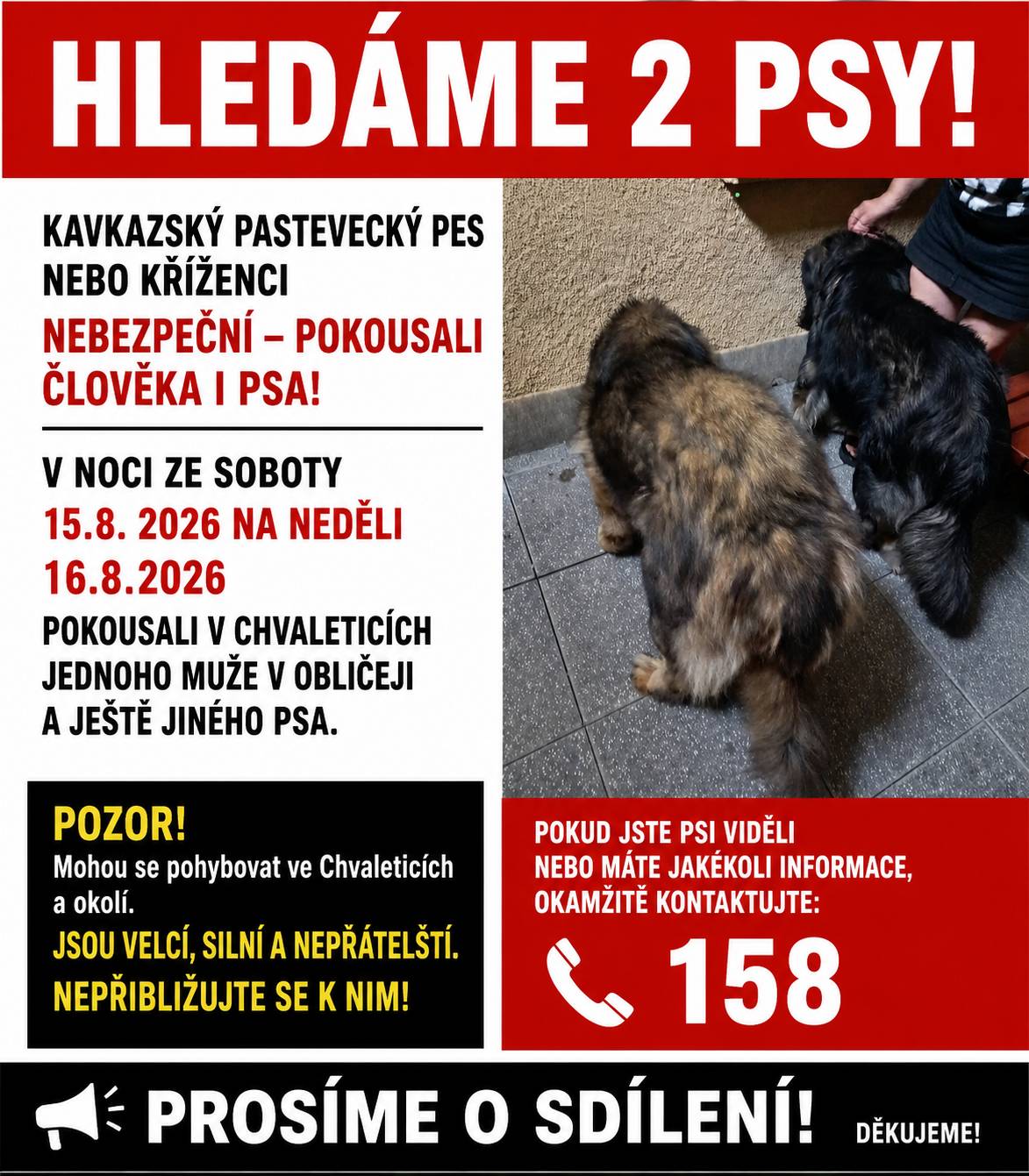 Hledají se 2 psi.