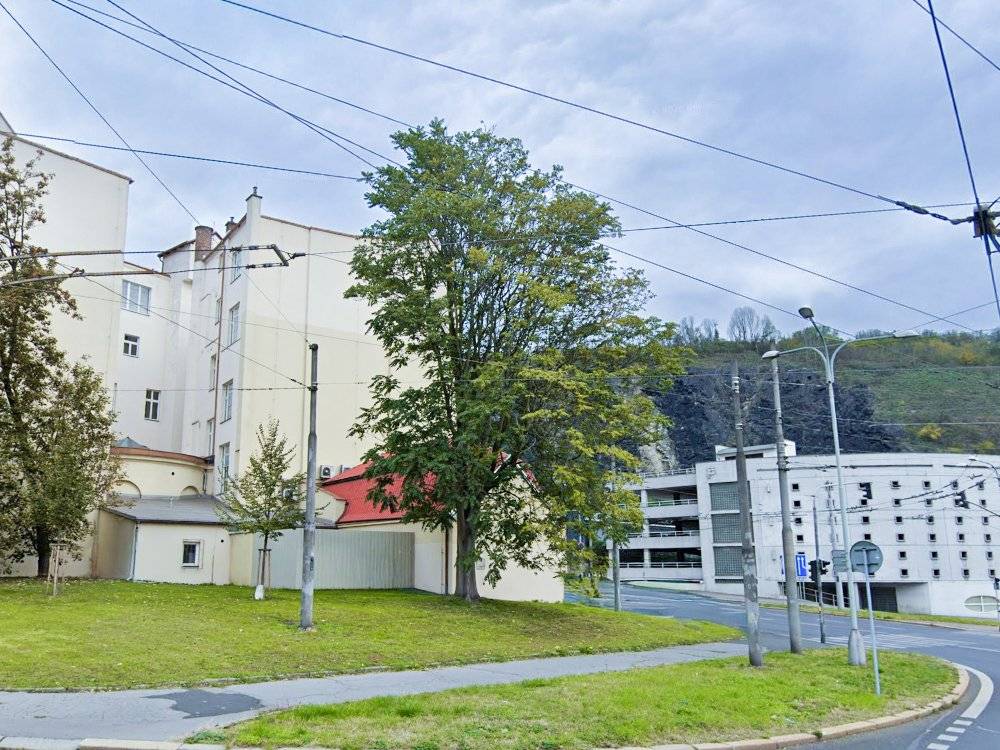 V souvislosti s diskuzí na sociálních sítích ohledně pokácení vzrostlého pajasanu žláznatého chceme vysvětlit, proč bylo jeho odstranění nutné. Nešlo o běžné kácení, ale o odbornou regulaci invazního druhu, který ohrožuje místní přírodu.  Pajasan žláznatý patří mezi invazní nepůvodní druhy s významným dopadem na přírodu Evropské unie. Velmi rychle se šíří semeny i kořenovými výmladky.  👉 U pajasanu navíc není vhodné strom jednoduše pokácet. Živý strom může po kácení vytvořit množství nových výmladků a situace se ještě zhorší. Proto byl i tento strom nejprve odborně ošetřen injektáží, která vedla k jeho postupnému odumření. Teprve poté byl odstraněn.  Město se systematické regulaci pajasanu věnuje od roku 2024. Dosud bylo ošetřeno 13 258 m² porostů a 143 vzrostlých stromů. V roce 2026 je plánováno odstranění dalších 47 vzrostlých a 37 mladších stromů.  💚 Cílem není kácet stromy pro samotné kácení. Jde o dlouhodobé omezení šíření pajasanu a ochranu místní přírody i městského prostředí.