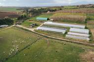 Na hranicích Prahy funguje Farma Jednorožec, kterou vedou absolventi společně se studenty na praxi. Foto: Martin Matěj, poskytnuto Farmářskou školou