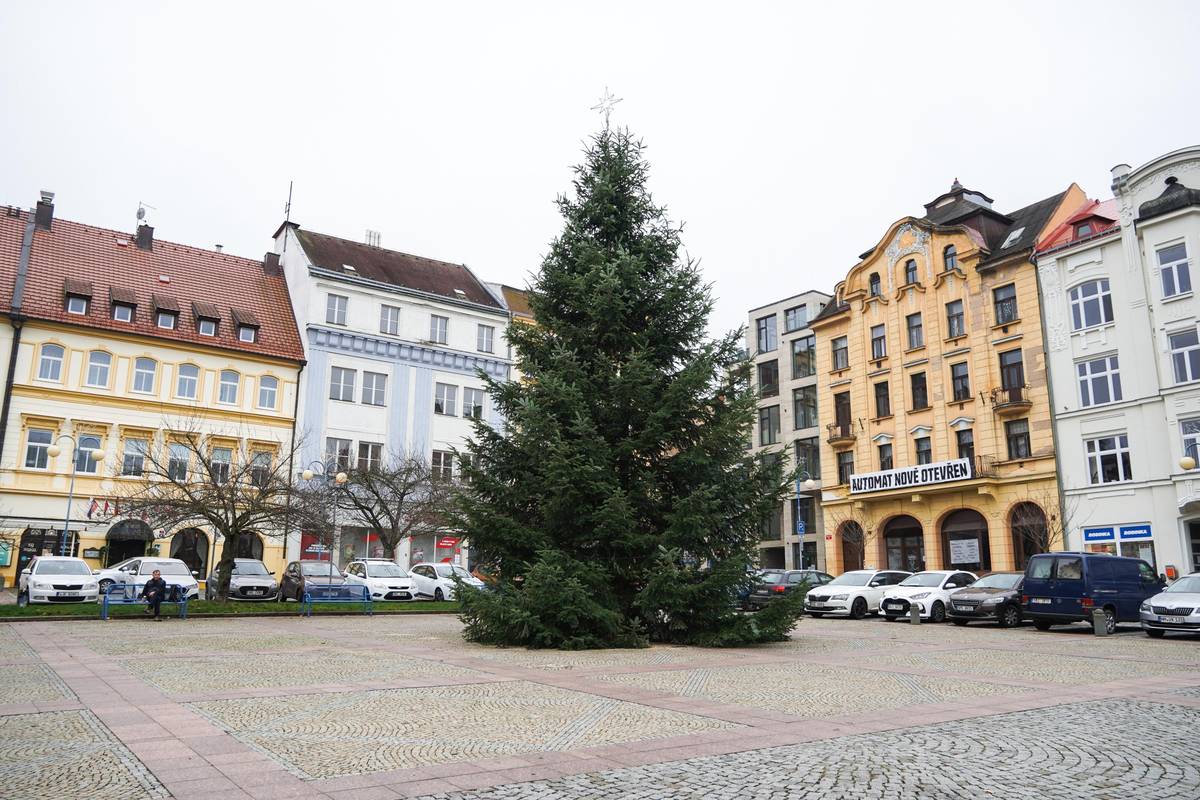 Technické služby Děčín, a. s., hledají vhodný vánoční strom pro letošní advent v našem městě.  Pokud máte na svém pozemku vzrostlý a pravidelný smrk nebo jedli, můžete váš strom městu darovat. O veškeré kácení, odvoz i následné umístění se postarají pracovníci technických služeb. Vaše nabídky stromů zasílejte na e‑mailovou adresu Petr.Sprojcar@mariuspedersen.cz.