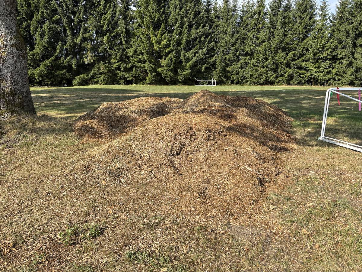 Obec Vatín znovu nabízí místním občanům k bezplatnému odběru dřevní štěpku. Uložena je na hromadě za kontejnery na bioodpady na hřišti. Odběr není limitován, předpokládá se běžné množství pro osobní potřeby na vlastní zahrádky. Zdrojem štěpky jsou větve stromů v obci, po ošetření arboristy. Jedná se téměř výhradně o listnaté tvrdé dřevo, tedy velmi kvalitní materiál, výhodný na mulčování. Děkujeme, že hospodaříte s bioodpady.