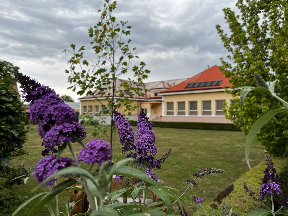 Speciální škola Poděbrady hledá ekonoma - účetní školy.  Nejlépe se znalostí účtování školské příspěvkové organizace.  Bližší informace získáte na emailu: podebrady@spec-skola.cz, případně telefonicky na 602 540 913. Nástup možný ihned.