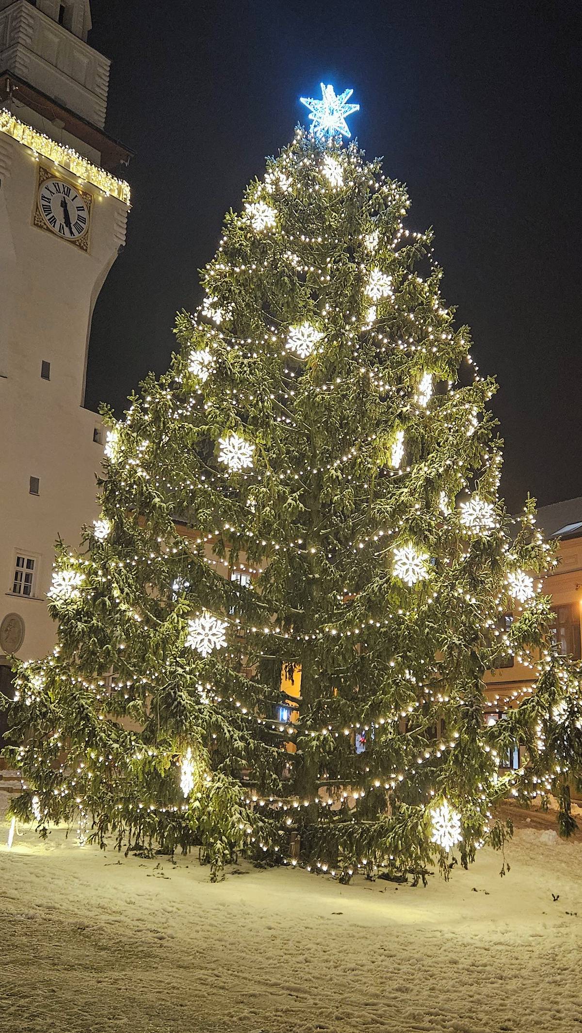 Město Boskovice hledá vánoční strom, který letos v prosinci ozdobí Masarykovo náměstí. Pokud máte na svém pozemku vzrostlý jehličnan, který plánujete pokácet a mohli byste jej městu darovat, ozvěte se nám do 9. října 2026.