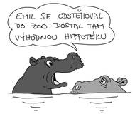 Zoolegrace: Proč by se hroch stěhoval do zoo?