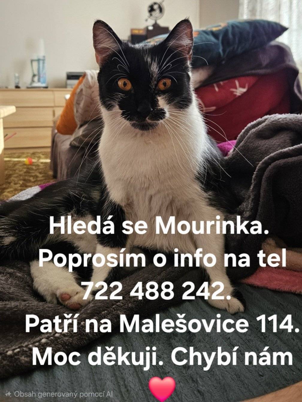 Od sobotního odpoledne se hledá kočička slyšící na jméno Mourinka/Mourek. Černo-bílá, roční, očkovaná, kastrovaná s čipem. Byla nalezena jako malinká před rokem. Pokud se jí někdo ujal nebo ji viděl, ať se ihned ozve na uvedená telefonní čísla. Děkujeme všem za pomoc.     Solařová Lenka 722 488 242 Bartl Ladislav 724 746 086 Malešovice 114
