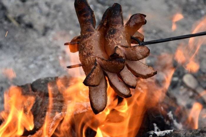Výbor SZZP oznamuje svojím členom, že v sobotu 22. augusta 2026 od 14:00 hod. bude opekačka pri Ondave za sadami. Poplatok je 5,00 EUR. Svoju účasť prosím oznámte predsedníčke SZZP do štvrtku 20. augusta 2026. Tešíme sa na Vás.