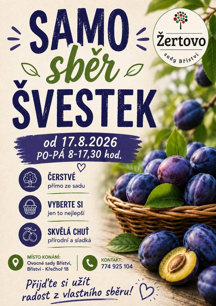Pozvánka na 2. ročník samosběru švestek v Ovocných sadech Bříství u Křečhoře od 17.8.2026.