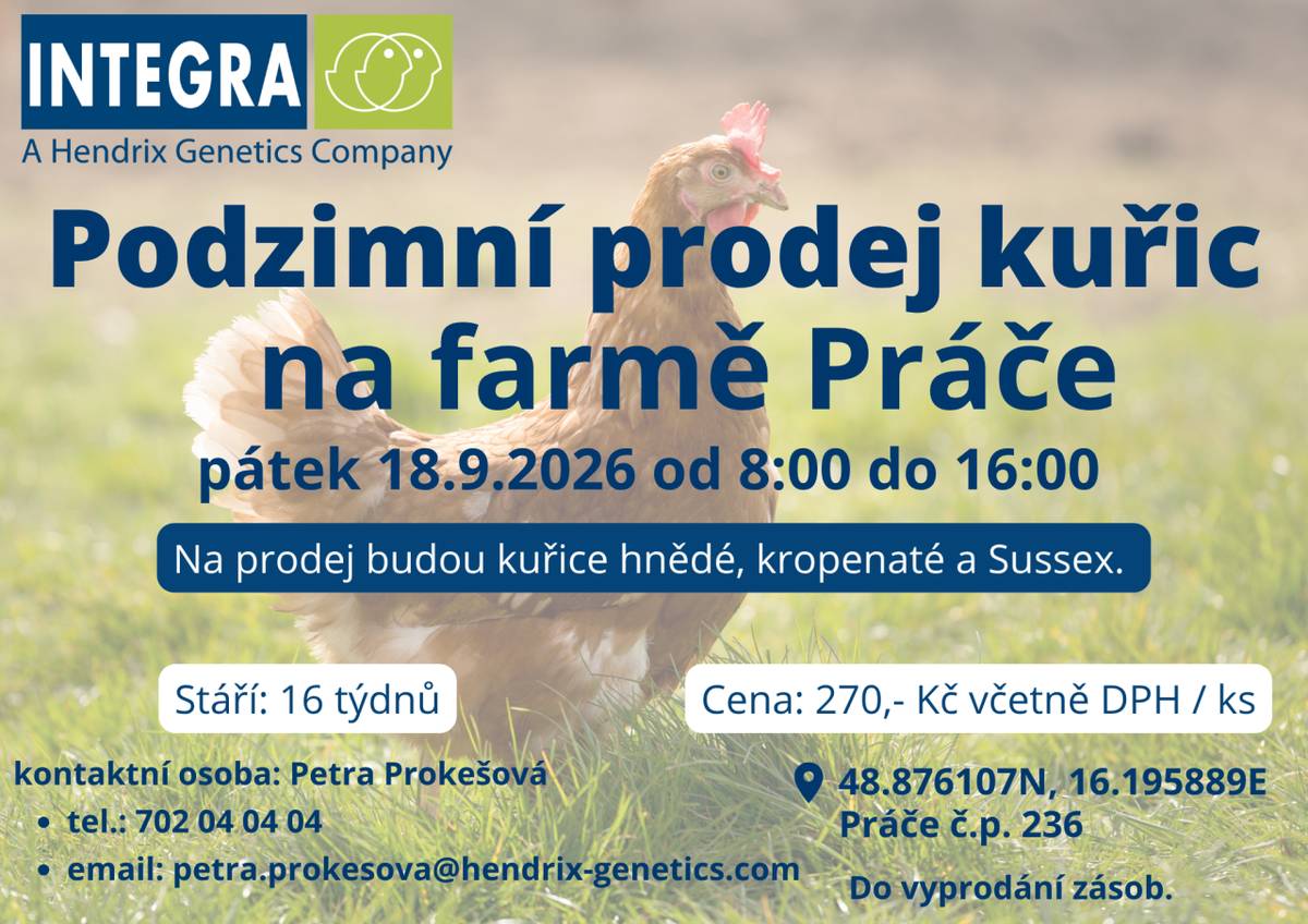 Podzimní prodej kuřic na farmě Práče v pátek 18.09.2026 od 8:00 do 16:00.
