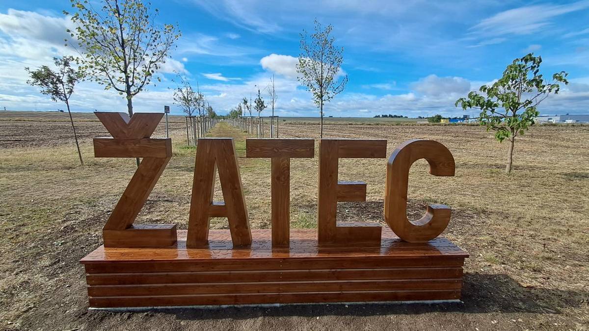 Velký dřevěný nápis ŽATEC zdobí od včerejška začátek sakurové aleje v Pekárenské ulici na jihu Žatce.