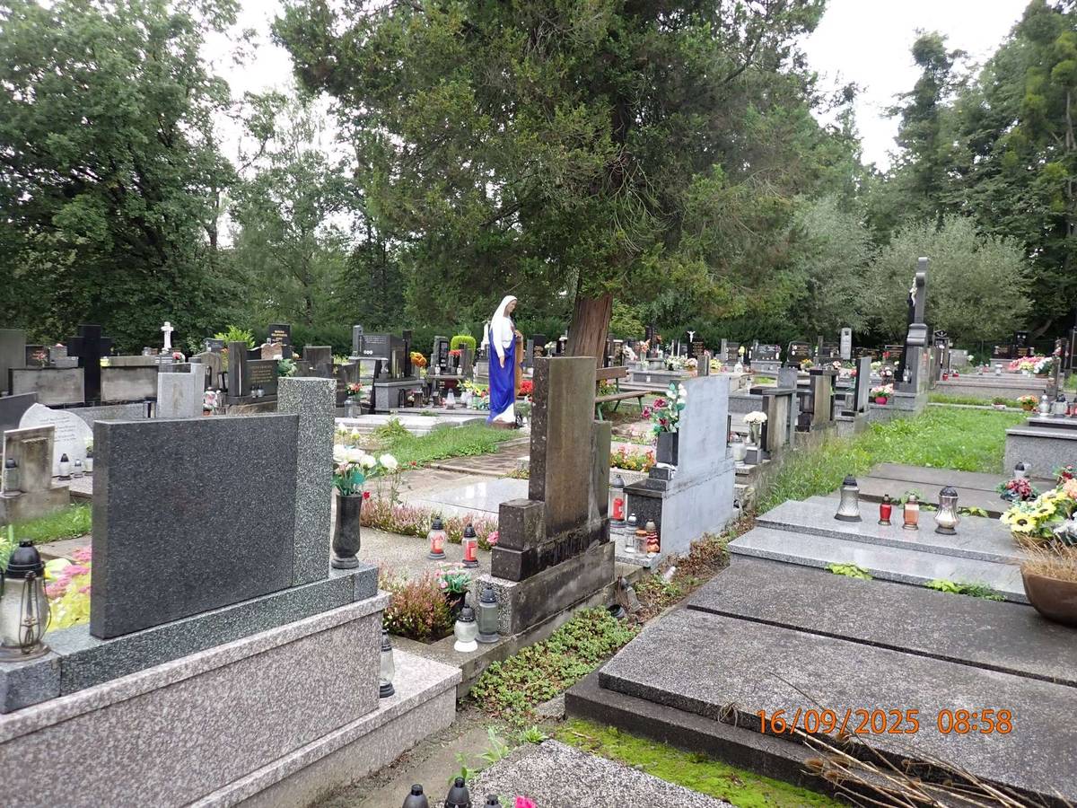 Z důvodu provádění sanačních prací v souvislosti se sesuvem svahu hřbitova v Dolních Bludovicích bude hřbitov z bezpečnostních důvodů pro veřejnost uzavřen od 20. do 21. srpna 2026 včetně. O případném prodloužení uzavření hřbitova či dalších omezeních vstupu budeme veřejnost informovat prostřednictvím informačních platforem města. Aktuální informace budou rovněž zveřejňovány na vstupní bráně hřbitova. Děkujeme za pochopení a respektování tohoto opatření. Odbor komunálních služeb