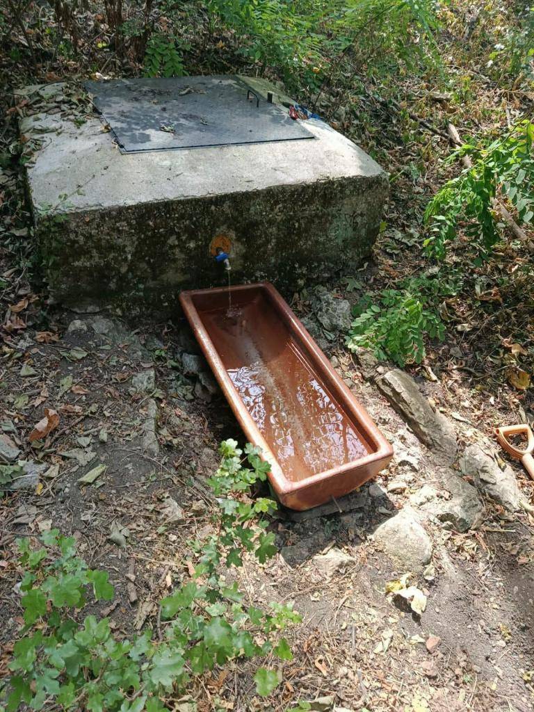 Pod Pálavou jsme umístili korytka a napustili je vodou, aby ani zvířata v tomto suchu nestrádala.    Velké díky patří kolegům za organizaci celé akce a Petovi Šebrlemu za darování korytek na vodu.    Pomáháme přírodě tam, kde to má smysl.