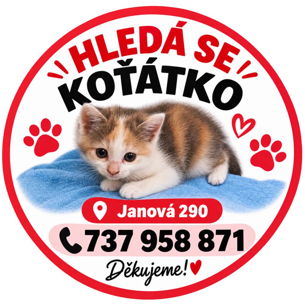 Malé koťátko se světlou srstí, šedými a béžovými flíčky se ztratilo v okolí domu č.p. 290. Pokud jste ho zahlédli, prosím volejte 737958871.