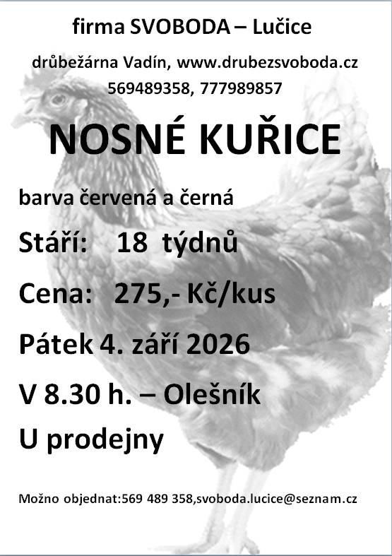 V 8:30 hod. před prodejnou Jednoty v Olešníku