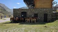Andorra Estanys de Tristaina