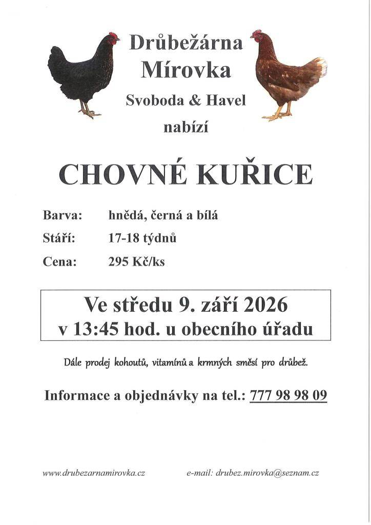 Prodej chovných kuřic ve středu 9. září 2026 v 13:45 hodin u obecního úřadu. Informace a objednávky na tel: 777 989 809.