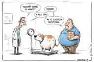 Majitel přivedl psa k veterináři kvůli nadváze. Lékaři stačil jediný pohled na oba
