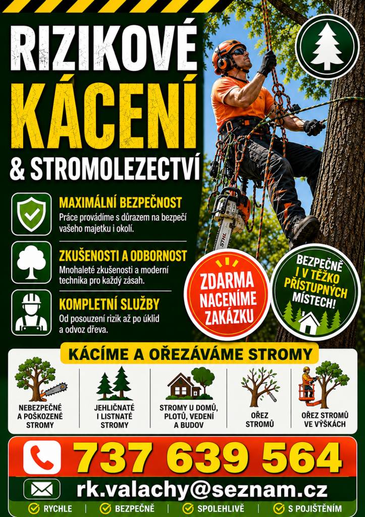 Nabídka - rizikové kácení stromů