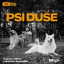 Co si neseme s rodokmenem? Zdravotní rizika podle plemen | Psí duše #07