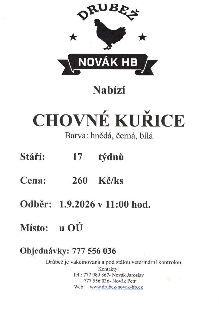 Prodej kuřic