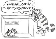 Zoolegrace: Degustace