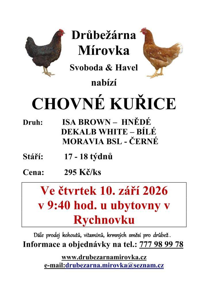 Drůbežárna Mírovka nabízí chovné kuřice ISA BROWN, DEKALB WHITE a MORAVIA BSL. Prodej se uskuteční 10. září 2026