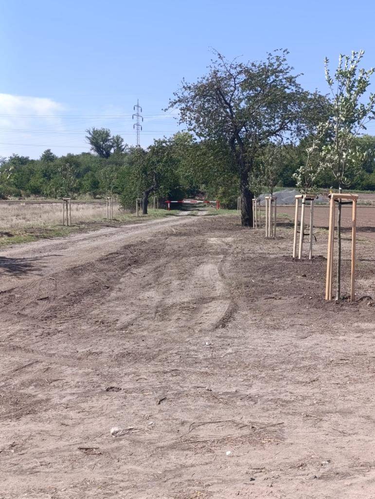 V uplynulých dnech proběhl úklid okolí panelové cesty na Spomyšelská Vrcha. Z místa byla odstraněna dlouholetá černá skládka, jejíž součástí byly mimo jiné i staré pneumatiky prorostlé vegetací.