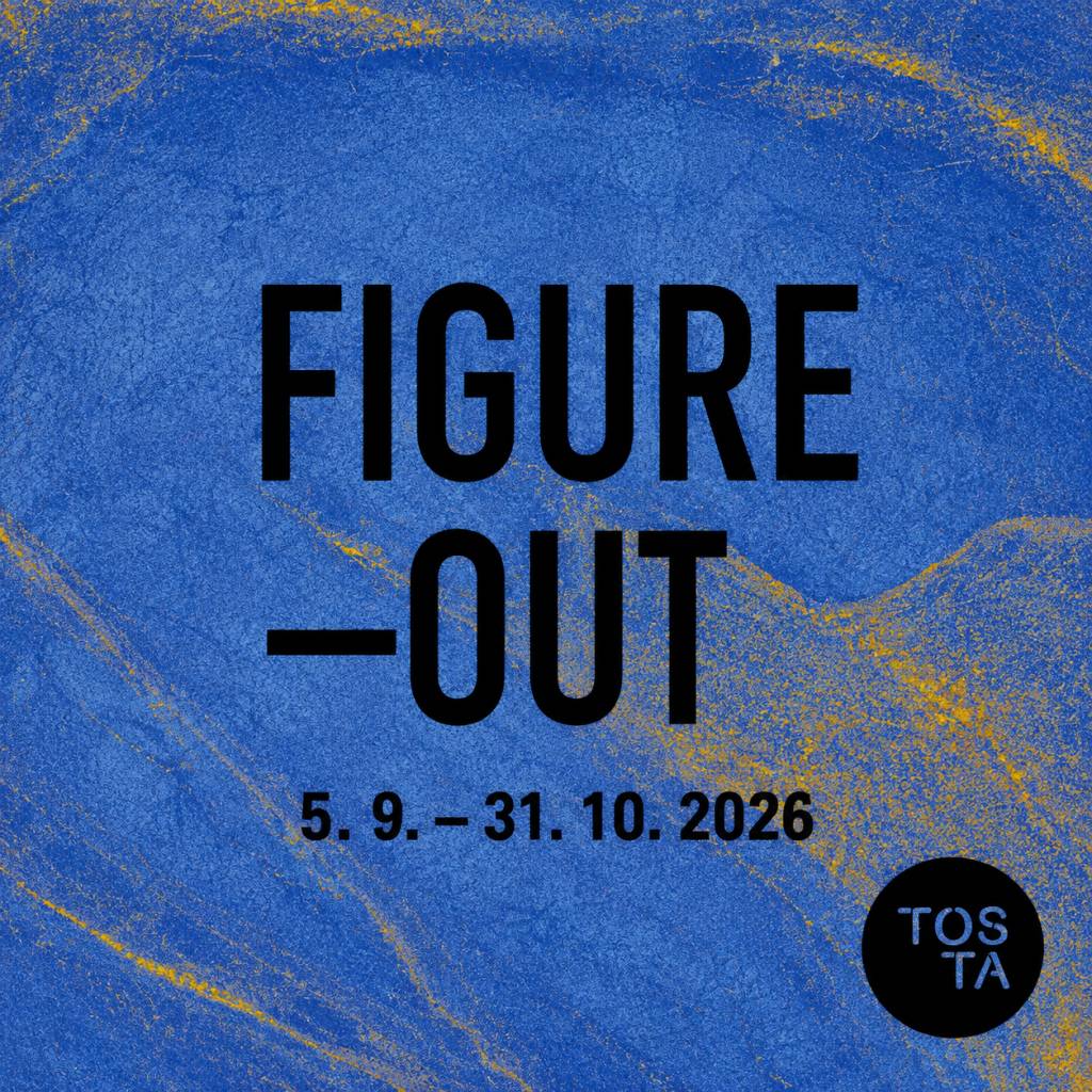 Galerie TOSTA vás srdečně zve na podzimní výstavu FIGURE-OUT. Vernisáž výstavy se uskuteční v rámci akce ART NIGHT PLESNÁ 2026 v sobotu 5. září od 18:00 hodin.