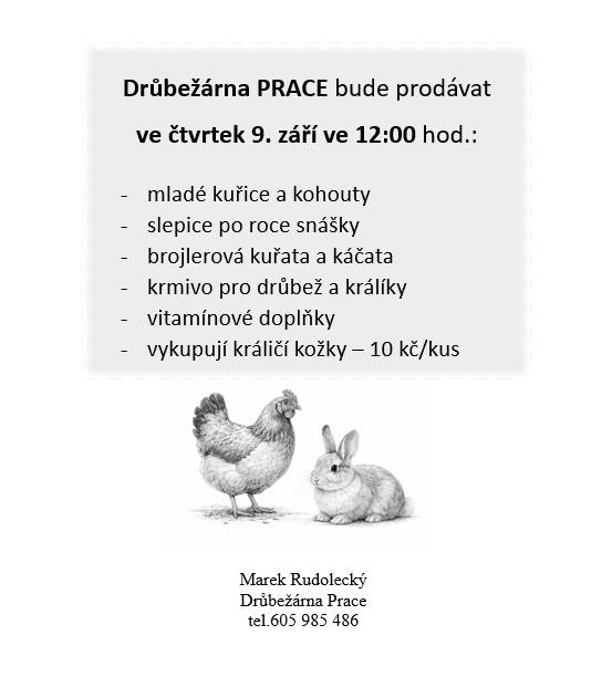 9.9.2026, ve 12:00