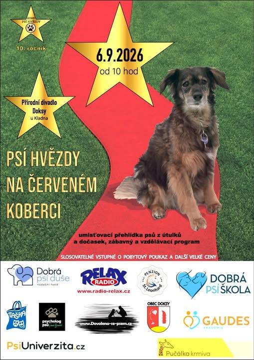 10. ročník umísťovací výstavy Psí hvězdy na červeném koberci na podporu útulků a dočasek. Tentokrát v Přírodním divadle