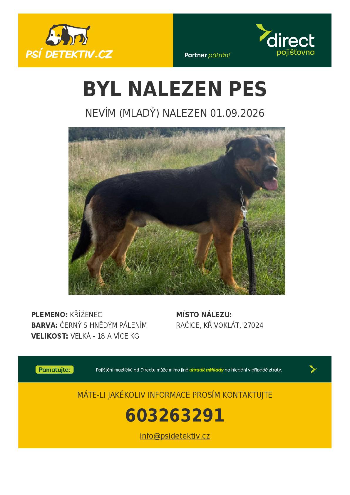 Hledá se majitel psa, který byl nalezen 1. 9. 2026 v lese v Račicích.