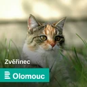 Veterinární a chovatelskou poradnu pro vás otevíráme s veterinárním lékařem nebo odborníkem na chov domácích zvířat
