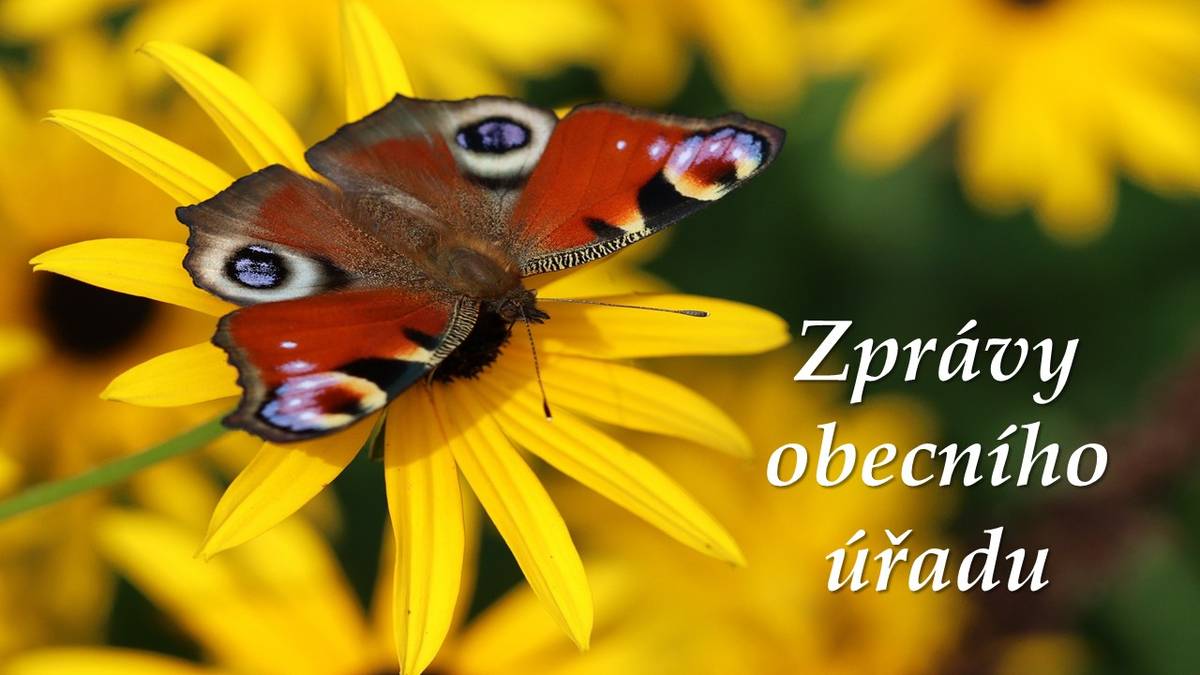 Aktuální zprávy běžící na infokanálu.