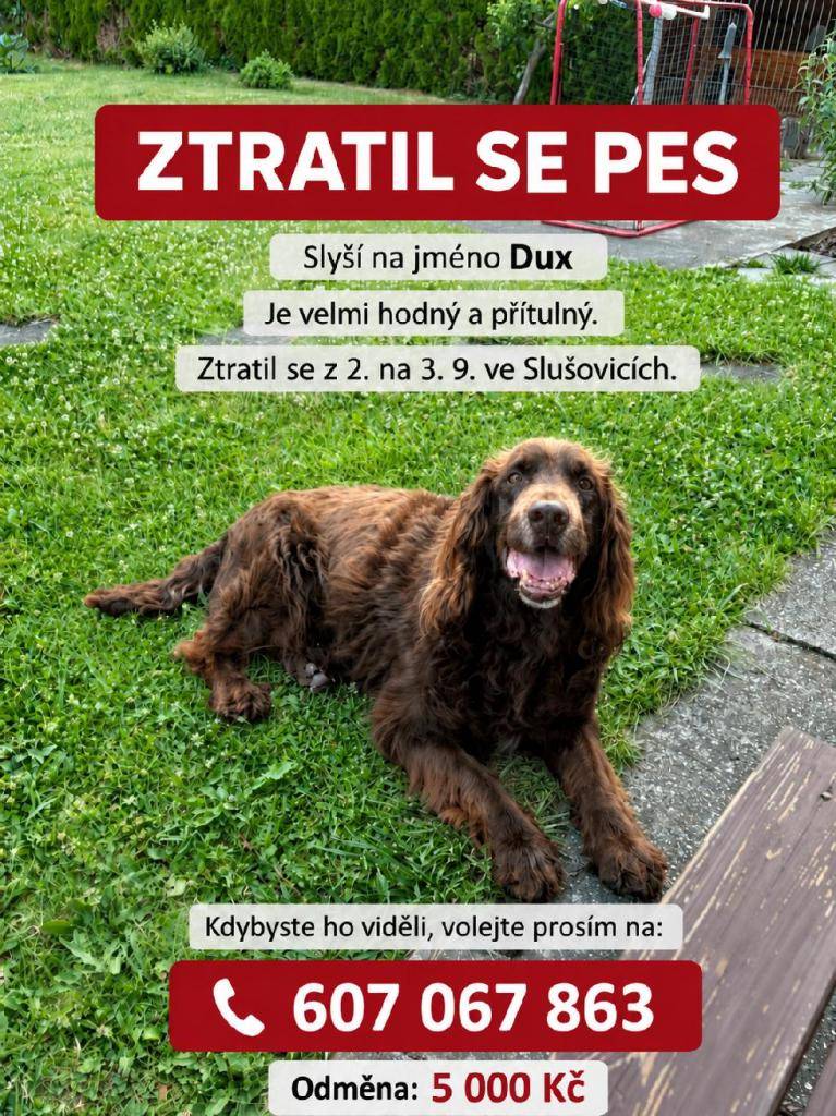 viz.příloha
