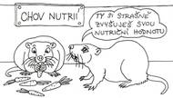 Zoolegrace: Nutriční hodnoty