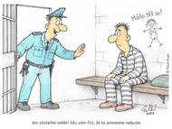 Bude, nebo nebude amnestie?